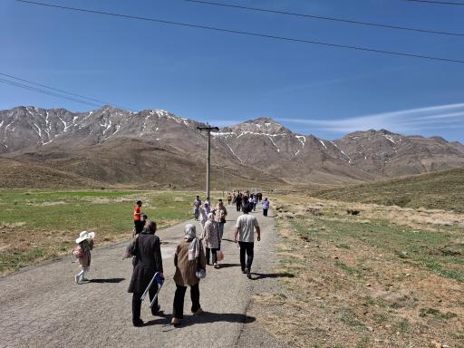 عکس دشت لاله واژگون خوانسار(گلستانکوه)