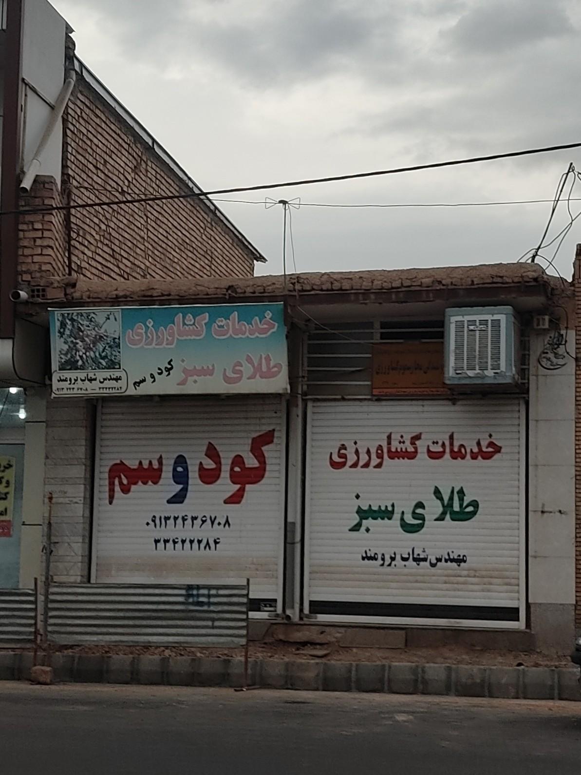 عکس خدمات کشاورزی طلای سبز