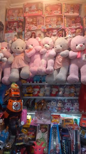 عکس ارمغان شمال