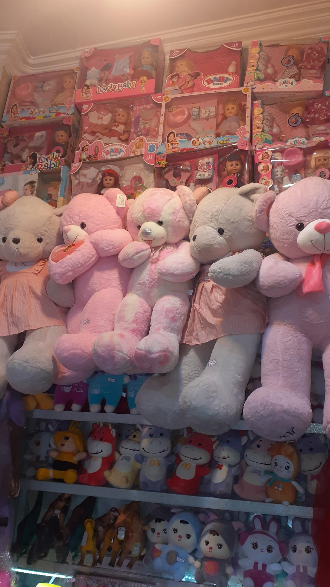 عکس ارمغان شمال