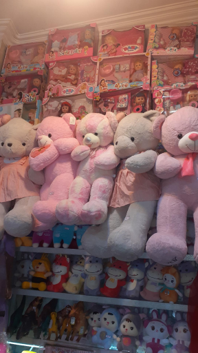 عکس ارمغان شمال