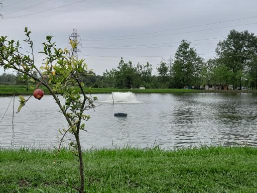 عکس برکه های ماهی کشل ورزل