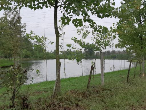 عکس برکه های ماهی کشل ورزل