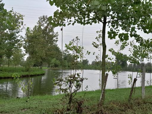 عکس برکه های ماهی کشل ورزل