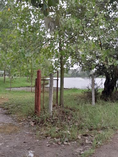 عکس برکه های ماهی کشل ورزل