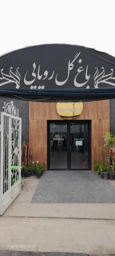 عکس اولین جنگل استوایی (جنگل استوایی رویا)