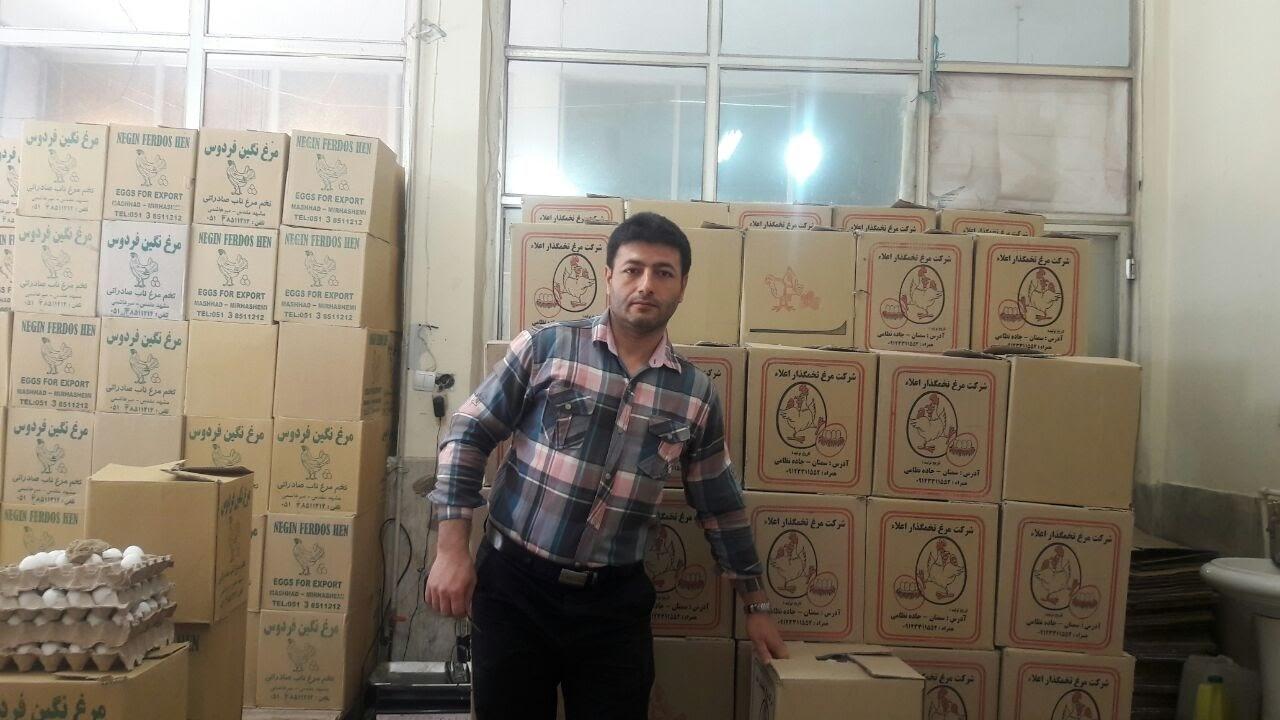 عکس پخش تخم مرغ مجید