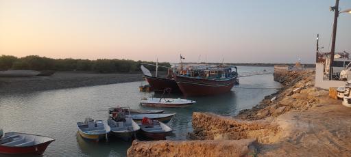 جنگل حرا کیسو