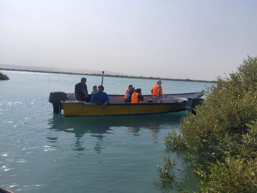 جنگل حرا کیسو