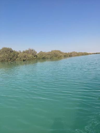 جنگل حرا کیسو