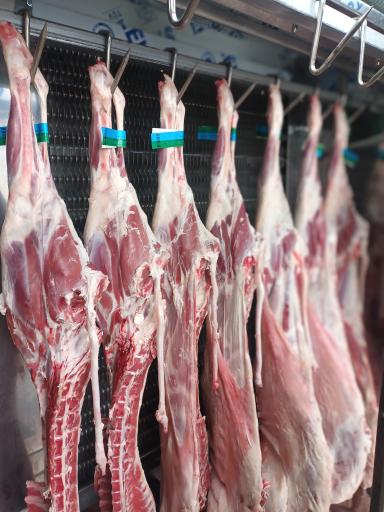 عکس سوپرگوشت پوریا