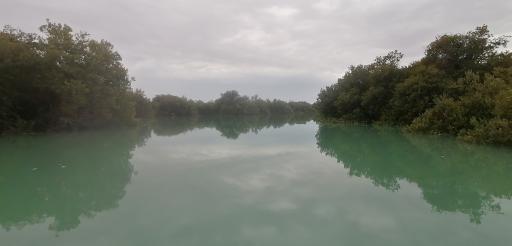 جنگل حرا کیسو