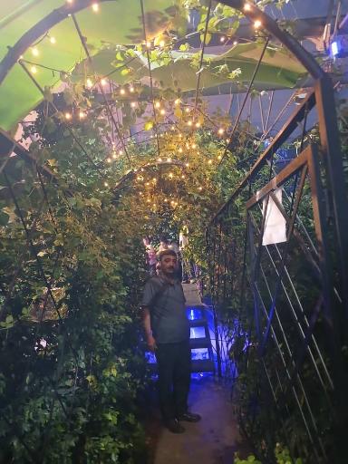 عکس اولین جنگل استوایی (جنگل استوایی رویا)