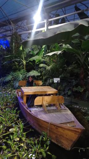 عکس اولین جنگل استوایی (جنگل استوایی رویا)