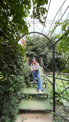 عکس اولین جنگل استوایی (جنگل استوایی رویا)