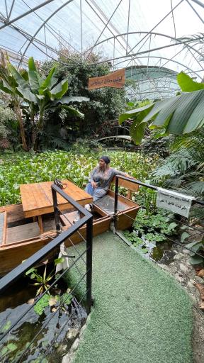 عکس اولین جنگل استوایی (جنگل استوایی رویا)