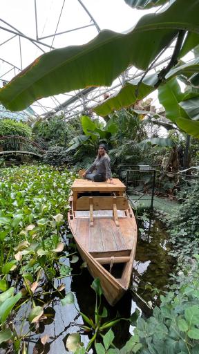 عکس اولین جنگل استوایی (جنگل استوایی رویا)