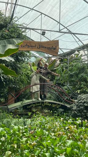 عکس اولین جنگل استوایی (جنگل استوایی رویا)