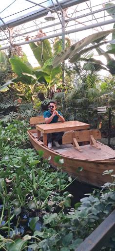 عکس اولین جنگل استوایی (جنگل استوایی رویا)