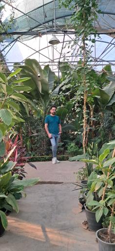 عکس اولین جنگل استوایی (جنگل استوایی رویا)