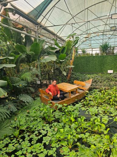 عکس اولین جنگل استوایی (جنگل استوایی رویا)