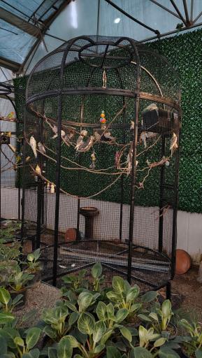 عکس اولین جنگل استوایی (جنگل استوایی رویا)