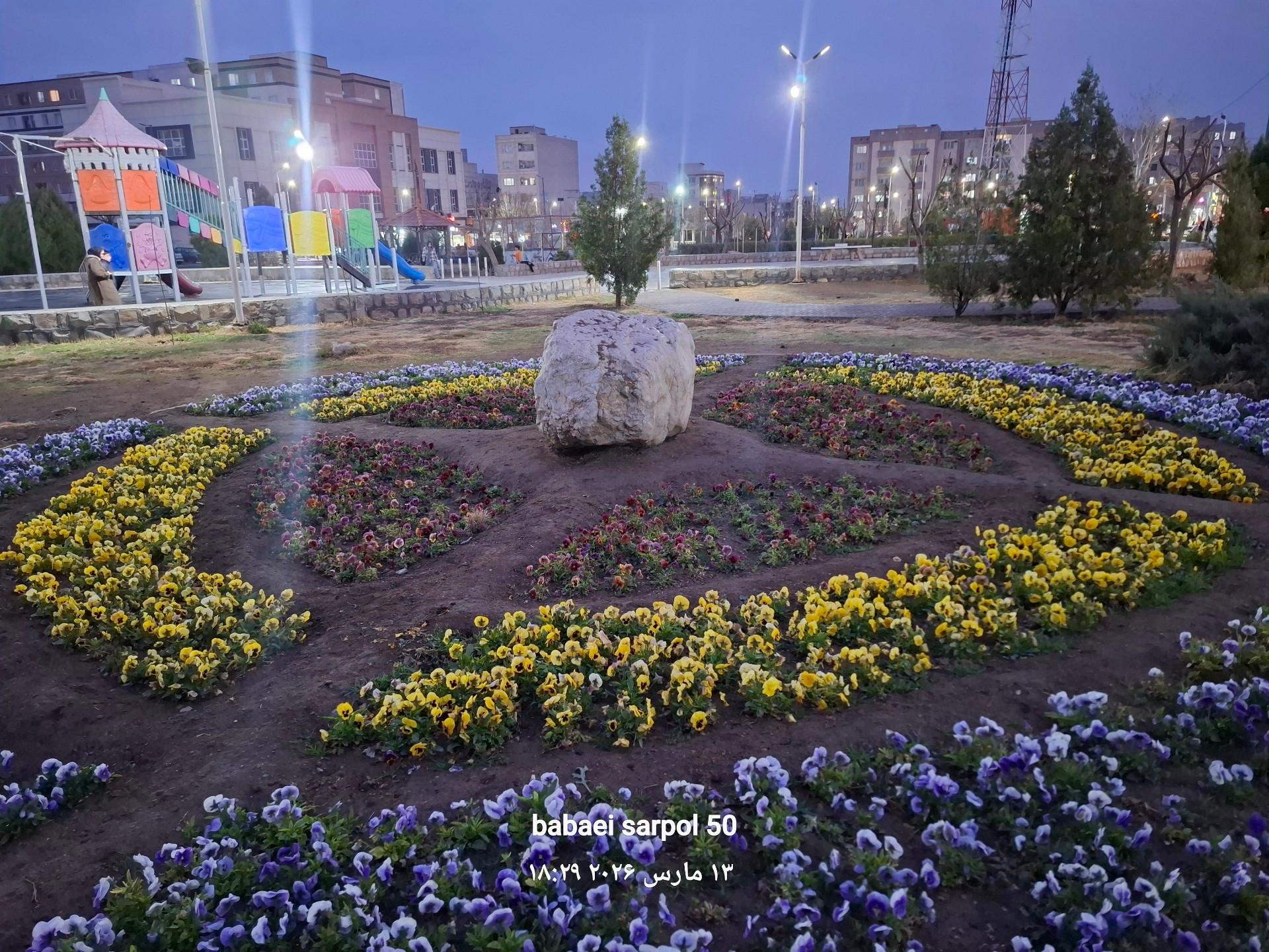 عکس بوستان اقاقیا