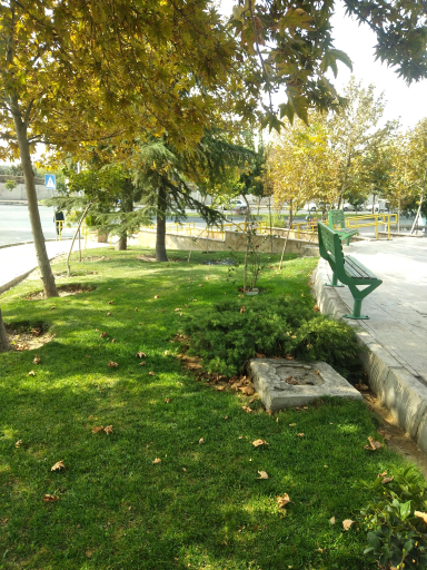 عکس بوستان گلریزان