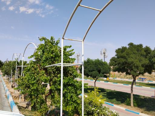 عکس پارک تاکستان