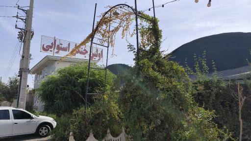 عکس اولین جنگل استوایی (جنگل استوایی رویا)