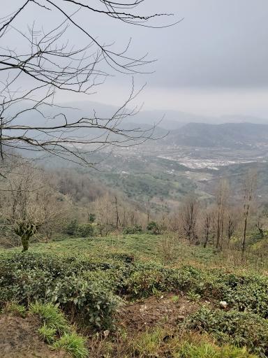 عکس دره تابستان نشین