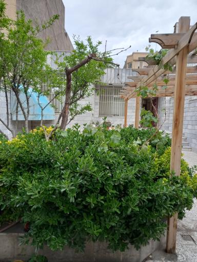 عکس نگارخانه سفید