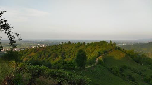 عکس دره تابستان نشین