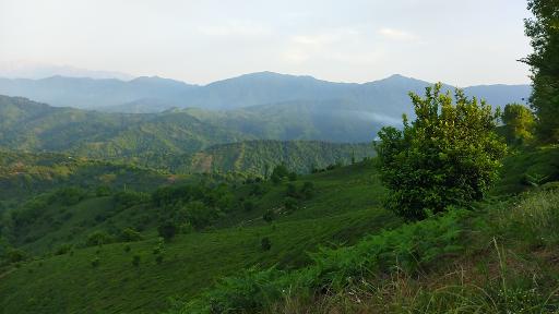 عکس دره تابستان نشین