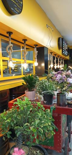 عکس کباب لولی خان عمو