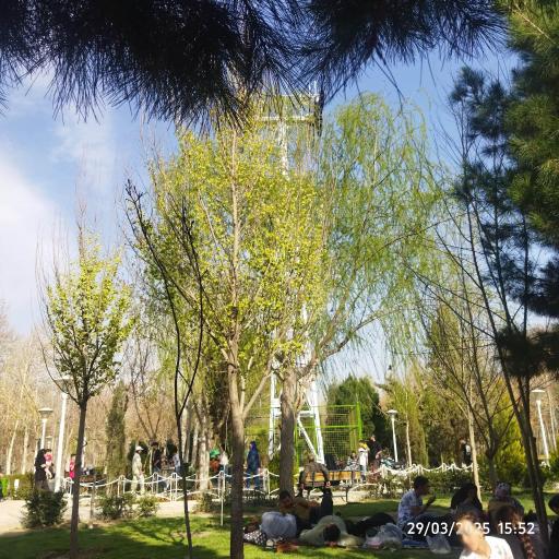 عکس بیشه ناژوان