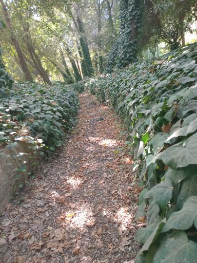 عکس بیشه ناژوان