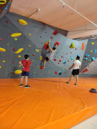 مجموعه ورزشی AGC