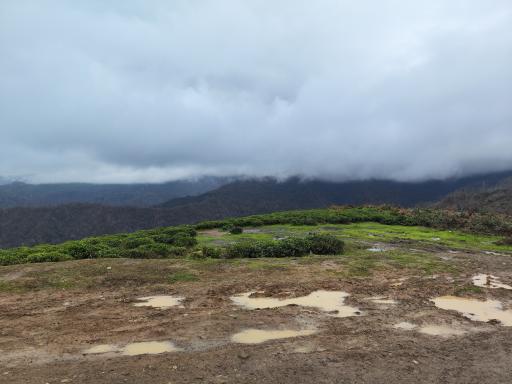 عکس دره تابستان نشین