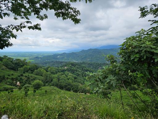 عکس دره تابستان نشین