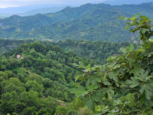 عکس دره تابستان نشین