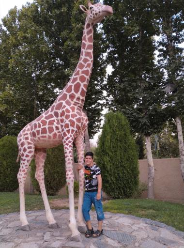 عکس بیشه ناژوان