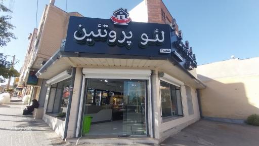 عکس پروتئینی لئو