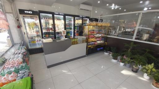 عکس پروتئینی لئو