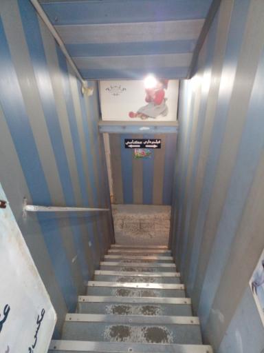 عکس عکاسی غزال