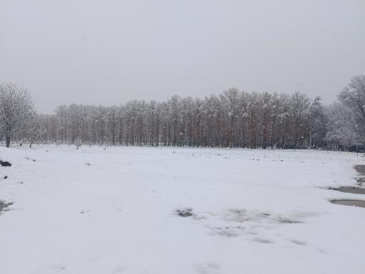 عکس بیشه ناژوان