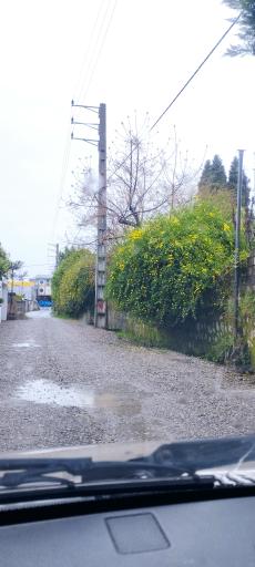 عکس نوشهر