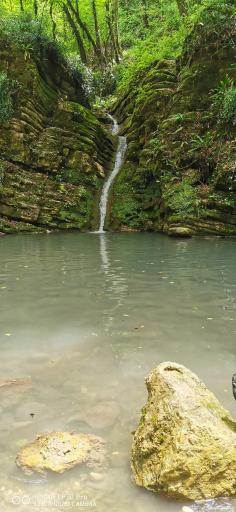 عکس نوشهر