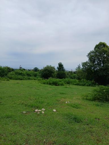 عکس نوشهر