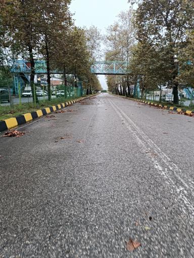 عکس نوشهر
